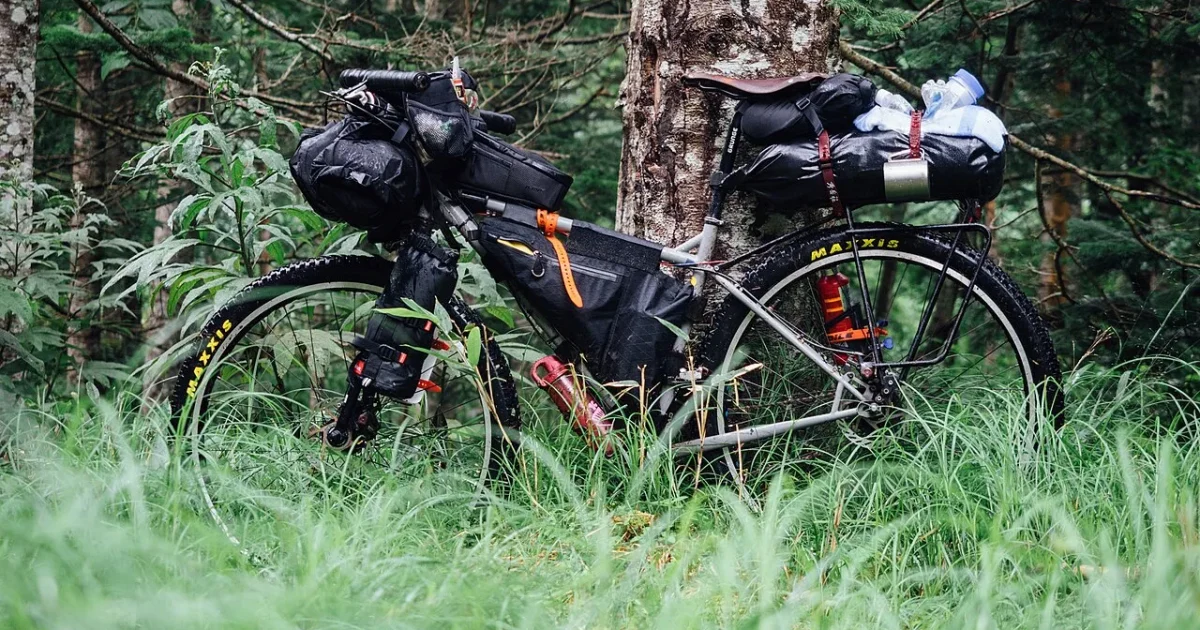 torby bikepackingowe na MTB – podsiodłówka, torba ramowa i kierownicowa w lesie