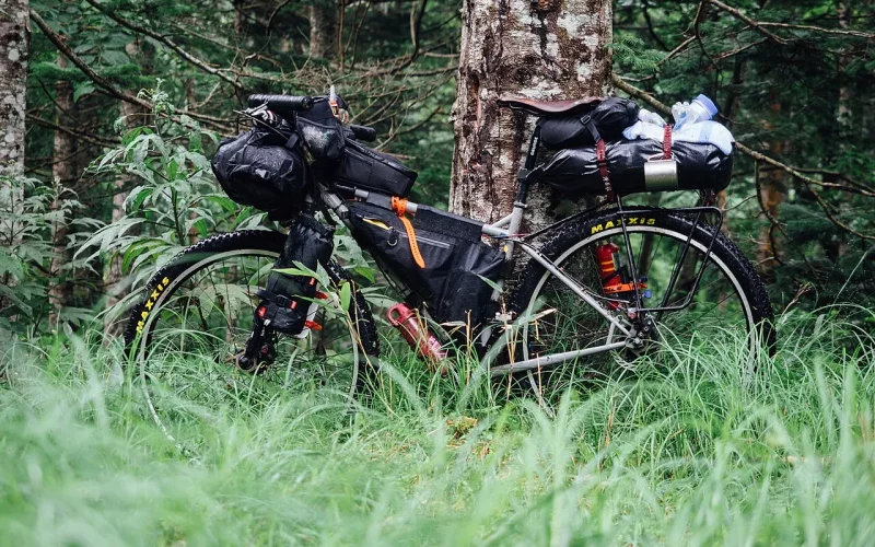 torby bikepackingowe na MTB – podsiodłówka, torba ramowa i kierownicowa w lesie