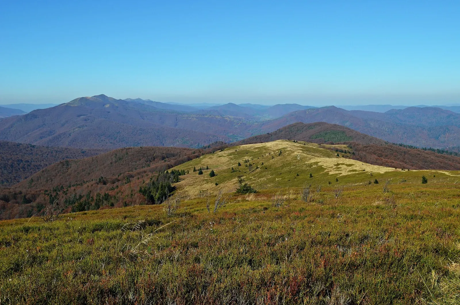 Bieszczady jesienią, panorama z połoniny, pasma w tle