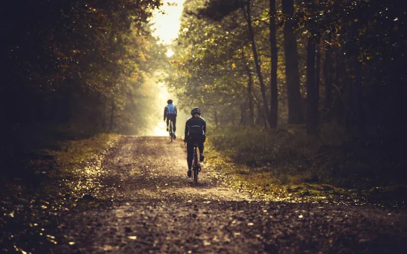 Dwie osoby na rowerach MTB w bukowym lesie o świcie — buty SPD na pedałach