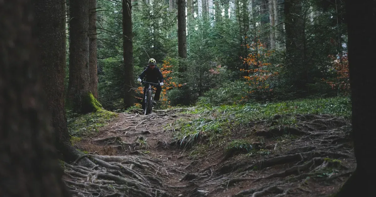 Rowerzysta enduro na pełnozawiasowym MTB jedzie technicznym leśnym szlakiem z korzeniami
