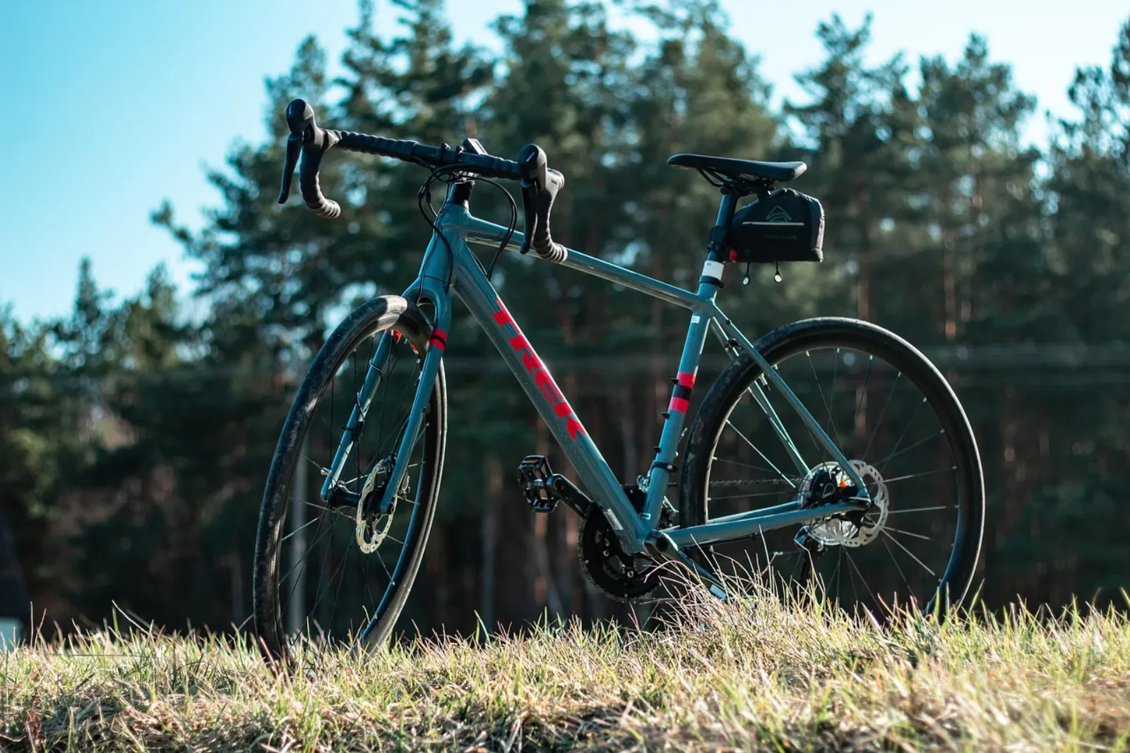Gravel z minimalną podsiodłówką w lesie iglastym