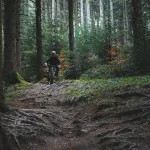 Rowerzysta na hardtail MTB w lesie wśród korzeni i mchu