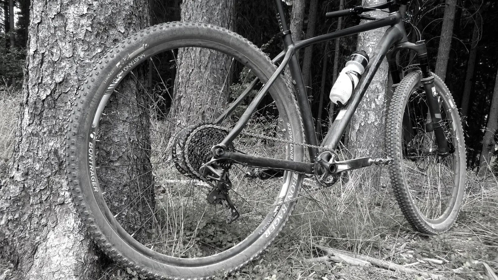 Hardtail MTB 29-cali oparty o sosnę — kaseta, łańcuch, opona widoczne z bliska