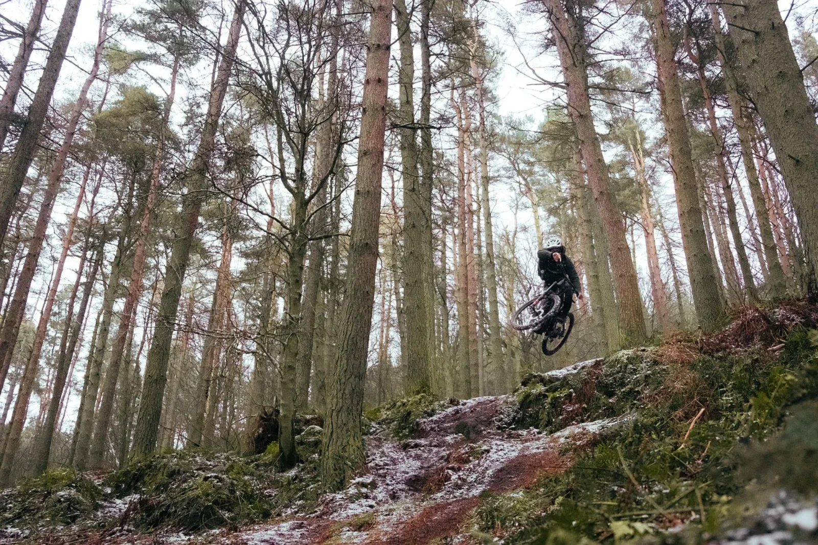 Skok na rowerze MTB w lesie iglastym, drop bike park
