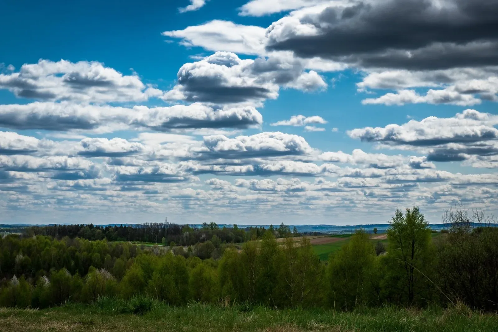 Pogórze Podkarpacia, panorama wzgórz i lasów pod chmurami
