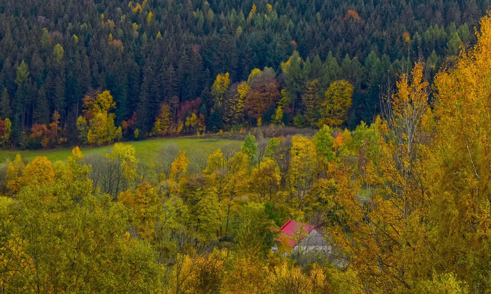 Sudety jesienią, dolina z kolorowymi lasami i zabudową