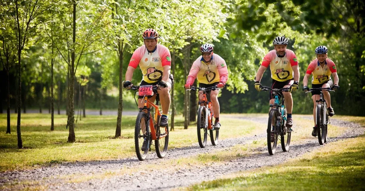Grupa rowerzystów MTB jadąca leśną szutrową drogą