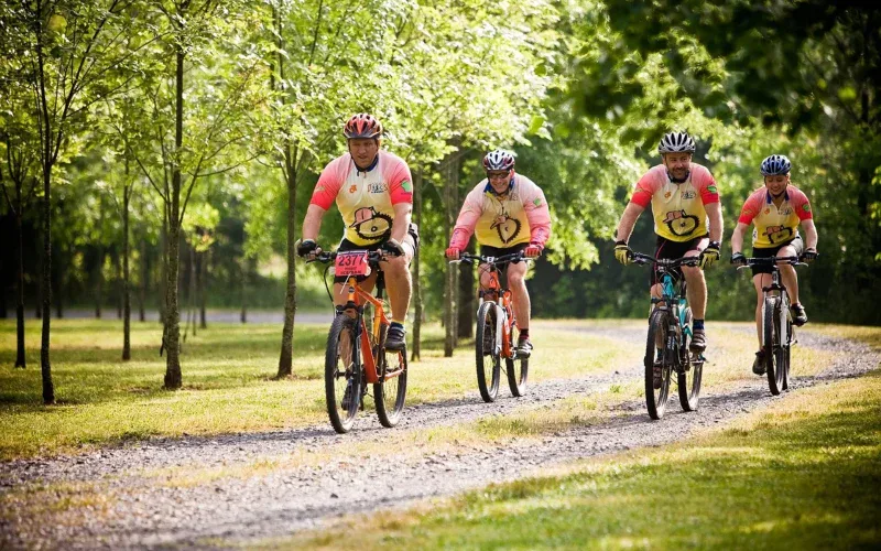 Grupa rowerzystów MTB jadąca leśną szutrową drogą