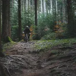 Rowerzysta MTB na leśnym singletracku wśród korzeni i drzew iglastych